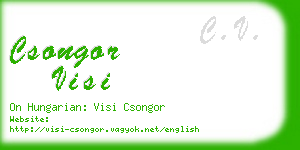 csongor visi business card